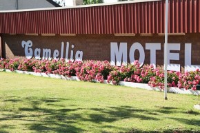 Narrandera Accommodation - Camellia Motel